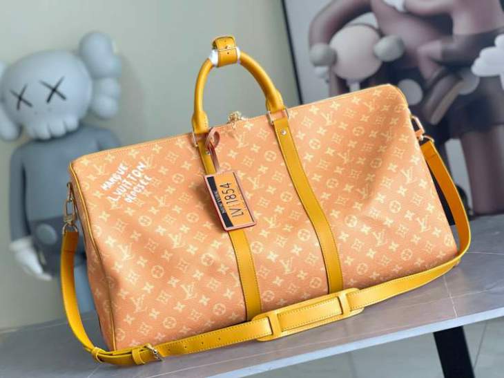 Picture of Louis Vuitton Handbags _SKUfw176503812fw